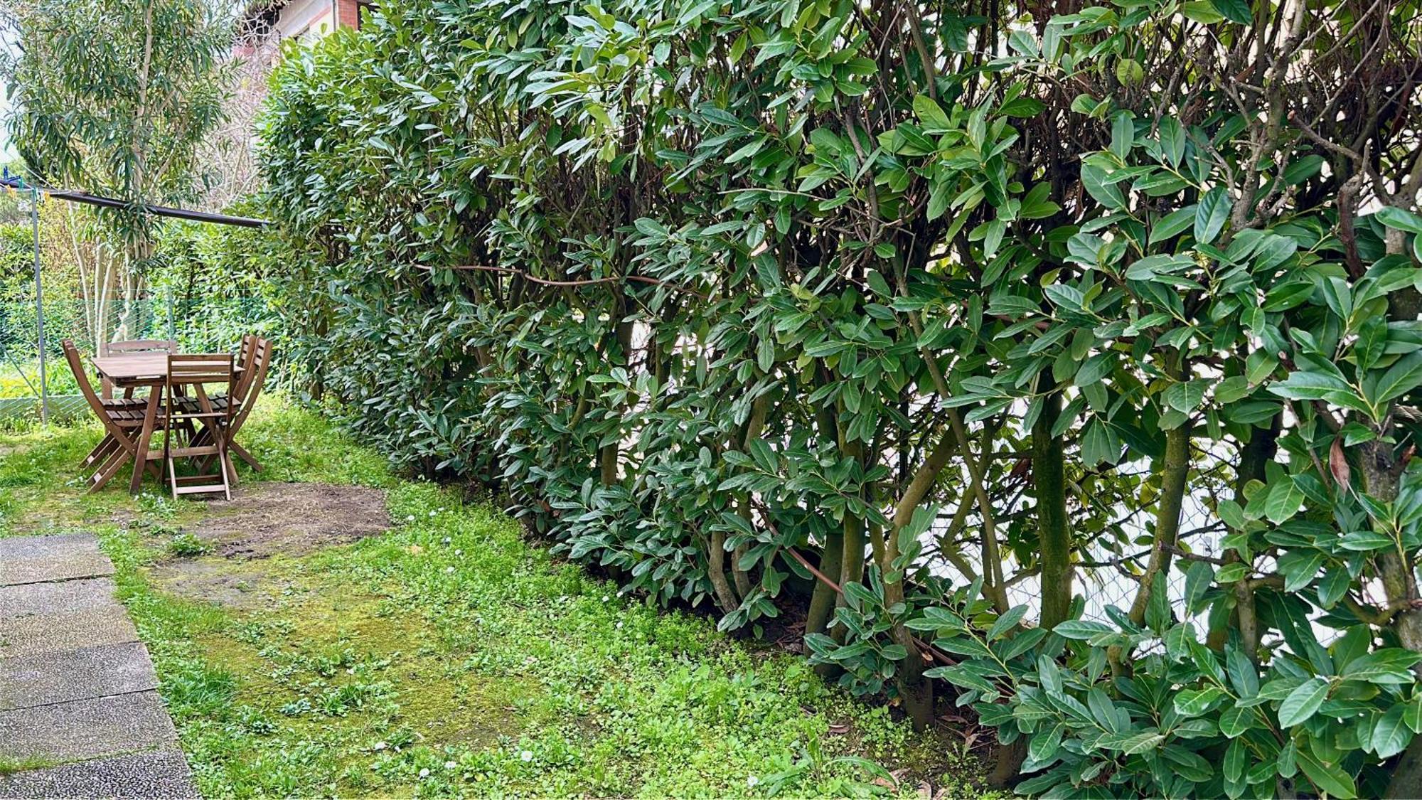 Appartamenti Villa Renata Riccione Zewnętrze zdjęcie